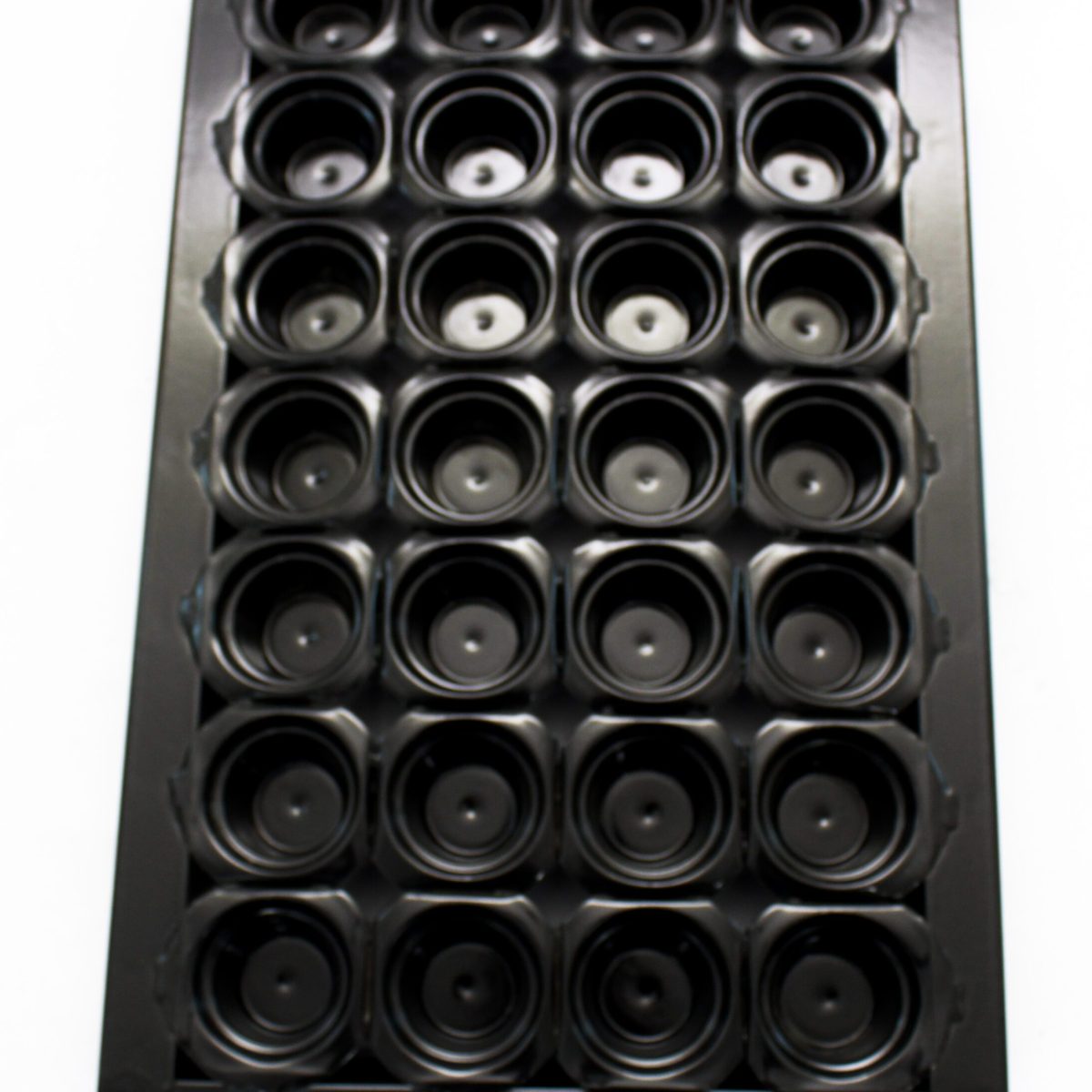 MG_7885-scaled